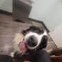 Photo of Fairfield Animal Hospital