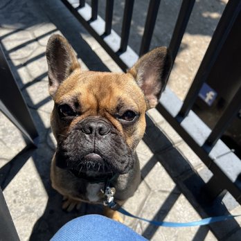 The Bruce Bar & Grill - dog friendly - Steakhouses Near Me - Kincardine, Ontario The Bruce Bar & Grill - dog friendly - Steakhouses Near Me - Kincardine, Ontario