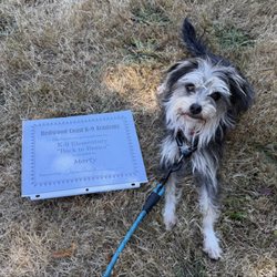 Redwood Coast K9 Academy