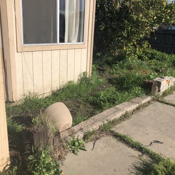 Hernandez One Time Yard Clean Up - Junk Removal & Hauling Near Me - Stockton, California