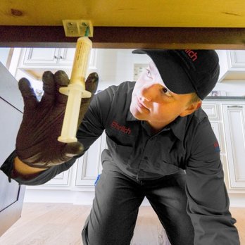 Ehrlich Pest Control - Ehrlich uses the most effective treatments with the least environmental impact, taking into consideration your home and family. - Pest Control Near Me - Hingham, Massachusetts Ehrlich Pest Control - Ehrlich uses the most effective treatments with the least environmental impact, taking into consideration your home and family. - Pest Control Near Me - Hingham, Massachusetts