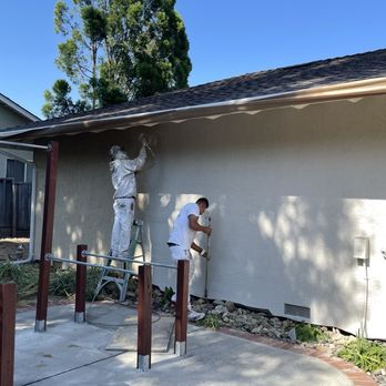 Creation Painting - spray painted and roller painted the walls - Painters Near Me