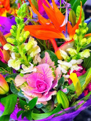 Santa Clara Farmers Market by null