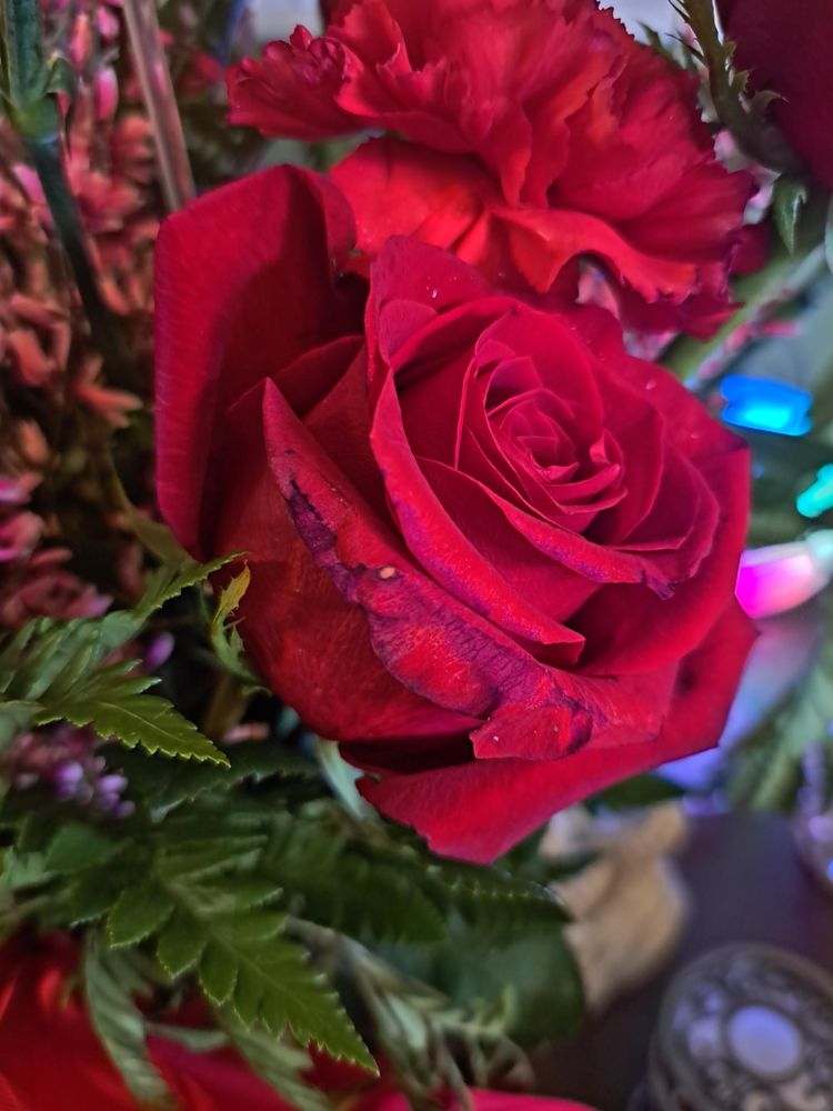 GARDEN OF EDEN FLORIST Updated September 2024 544 S Ww White Rd