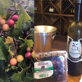 Horse Creek Winery - Muscadine grapes used in their some of their wines. - Venues & Event Spaces Near Me - Sparks, Georgia Horse Creek Winery - Muscadine grapes used in their some of their wines. - Venues & Event Spaces Near Me - Sparks, Georgia