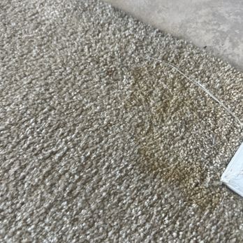 ProSteam Restoration - Carpet Cleaning Near Me ProSteam Restoration - Carpet Cleaning Near Me