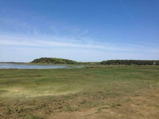Mass Audubon Wellfleet Bay Wildlife Sanctuary by null