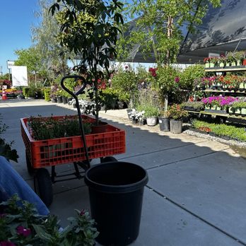 Frantz Garden Center - Front of the store looking towards all the plants and trees - Nurseries & Gardening Near Me - Hickman, California