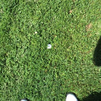 Mill Valley Golf Course - Fairway! - Golf Near Me - Mill Valley, California