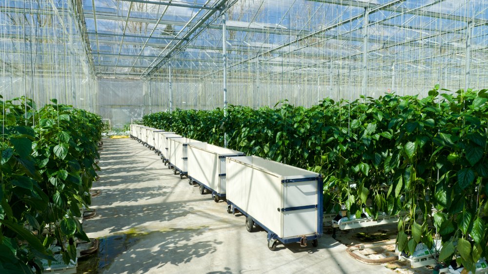 Slide of Duque Roofing