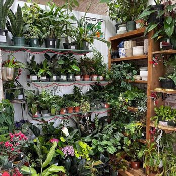 Main Street Mercantile - A BEAUTIFUL plant shop, (the photo does not do it justice) - Shopping Centers Near Me - Van Buren, Arkansas Main Street Mercantile - A BEAUTIFUL plant shop, (the photo does not do it justice) - Shopping Centers Near Me - Van Buren, Arkansas