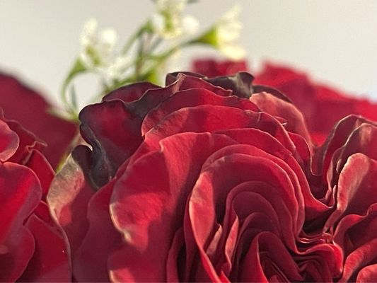 Florentyna's Fine Flower Company by null