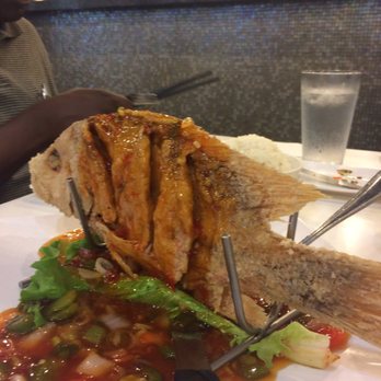 Joy Yee - Evanston - Red snapper! - Noodles Near Me - Evanston, Illinois