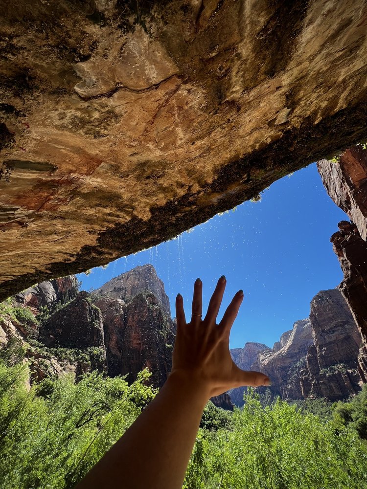 Weeping Rock Logo