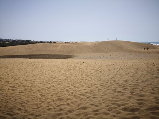 Dunas de Maspalomas by null