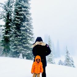 Paradise Glacier Trail - Mount Rainier National Park