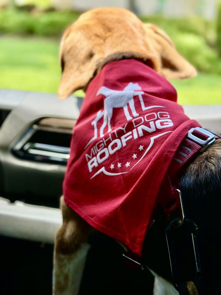 Slide of Mighty Dog Roofing of Fort Myers