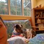 Photo of Micanopy Animal Hospital
