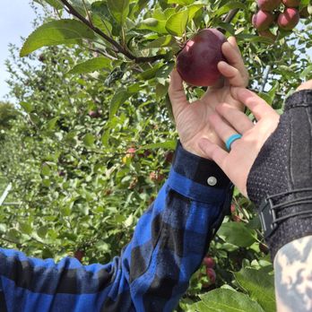 Beak & Skiff Apple Orchards - Distilleries Near Me - Lafayette, New York