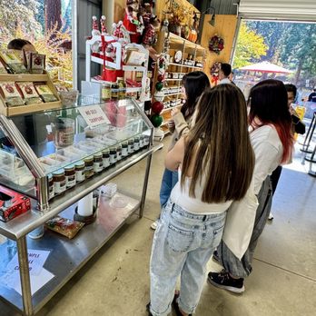 Apple Ridge Farms - 11.02.25 jams/jellies and dip samplings - Bakeries Near Me - Camino, California Apple Ridge Farms - 11.02.25 jams/jellies and dip samplings - Bakeries Near Me - Camino, California