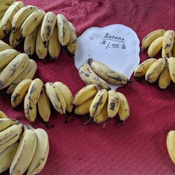 Ice cream bananas!