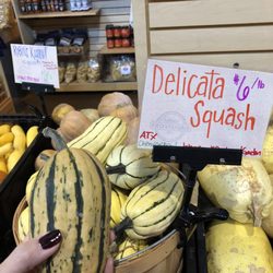 Market Provisions Co - Delicata Squash - delicate and sweet!