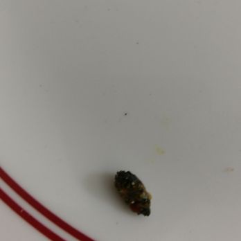 Shan-E-Punjab - Found this inch long piece of stone in the take out dinner (kulcha) - Grocery Near Me - Stockton, California Shan-E-Punjab - Found this inch long piece of stone in the take out dinner (kulcha) - Grocery Near Me - Stockton, California