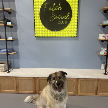Fetch Social Club - Themed Cafes Near Me - Tulsa, Oklahoma Fetch Social Club - Themed Cafes Near Me - Tulsa, Oklahoma