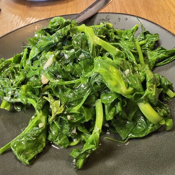North Star - Szechuan Near Me - Lake Zurich, Illinois