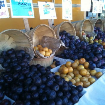 El Segundo Farmer's Market - Barrels of plums! - Farmers Market Near Me - El Segundo, California El Segundo Farmer's Market - Barrels of plums! - Farmers Market Near Me - El Segundo, California