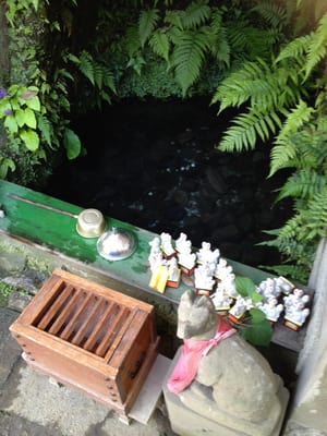 Sasuke Inari Shrine by null