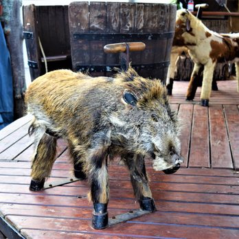 Mittelalterlicher Weihnachtsmarkt - Wild boar Ride - Christmas Markets Near Me - Siegburg, NW