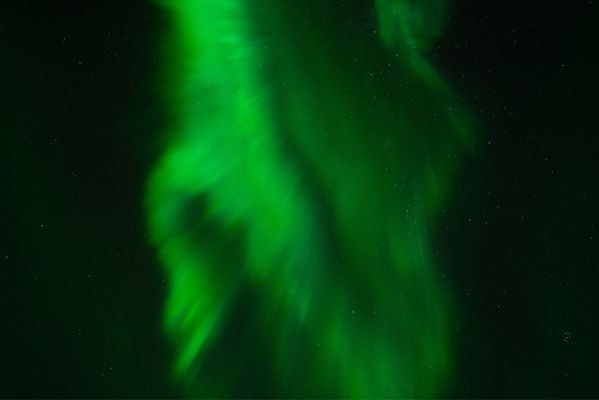 Chasing Lights by null