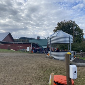 Bob's Corn & Pumpkin Farm - Pumpkin Patches Near Me - Snohomish, Washington