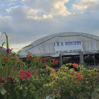 JRN Nursery 2 - My favorite nursery! - Nurseries & Gardening Near Me - Houston, Texas