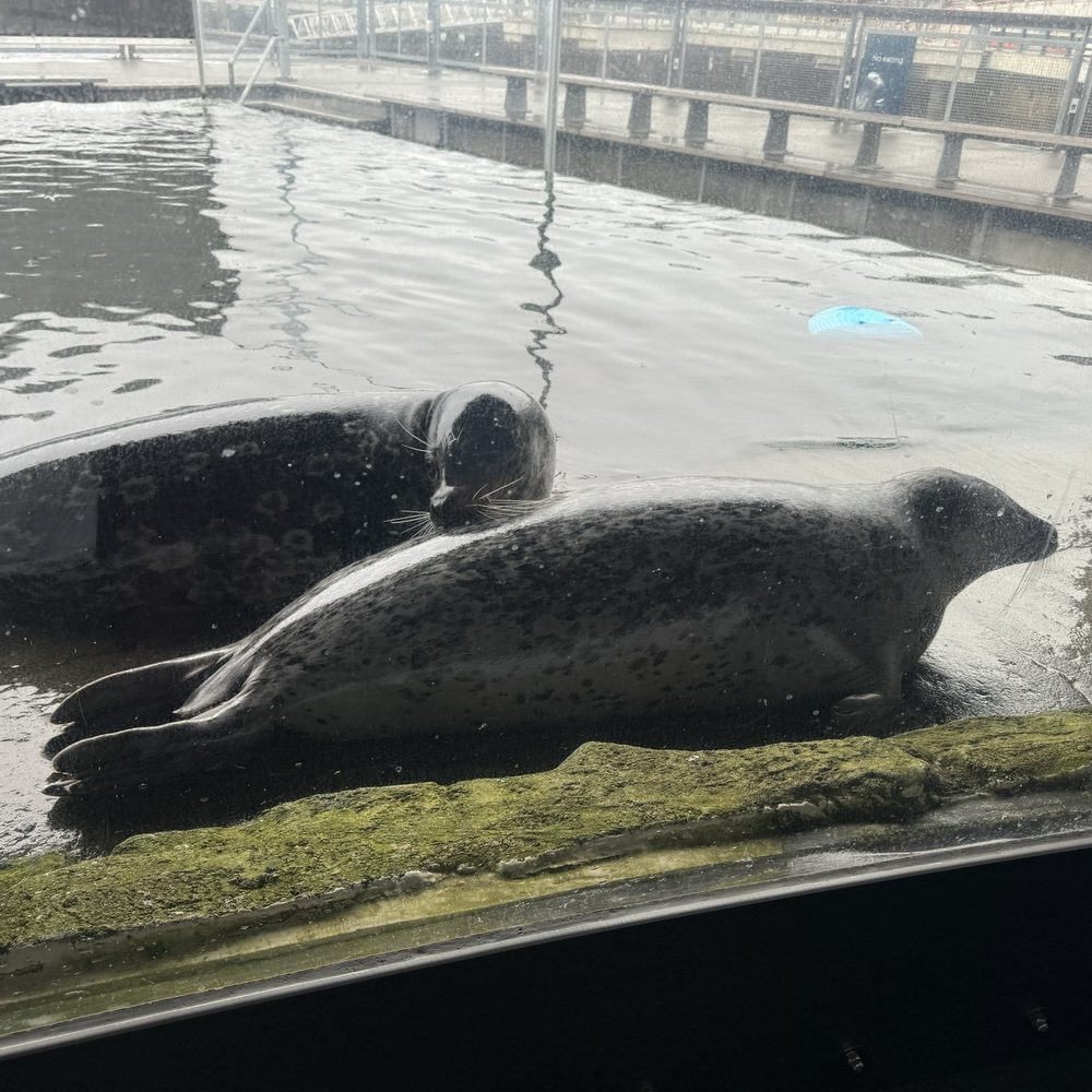Seattle Aquarium - Aquariums Near Me - Seattle, Washington Seattle Aquarium - Aquariums Near Me - Seattle, Washington