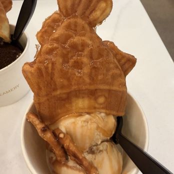 Tea Leaf and Creamery - Dulce de leche - Desserts Near Me - Tucson, Arizona