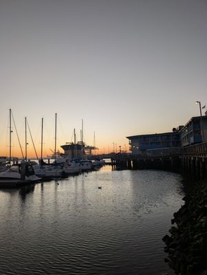 Seabreeze On The Dock by null