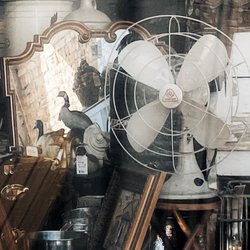 Bug & Bird Mercantile