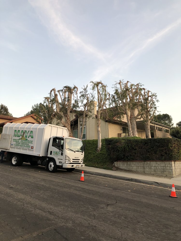 MAYA TREE SERVICE Updated May 2024 Baldwin park, California Tree