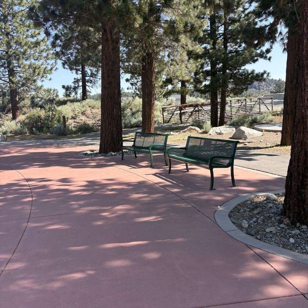 Volcom Brothers Skate Park - Benches and big trees near playground - Skate Parks Near Me - Mammoth Lakes, California Volcom Brothers Skate Park - Benches and big trees near playground - Skate Parks Near Me - Mammoth Lakes, California