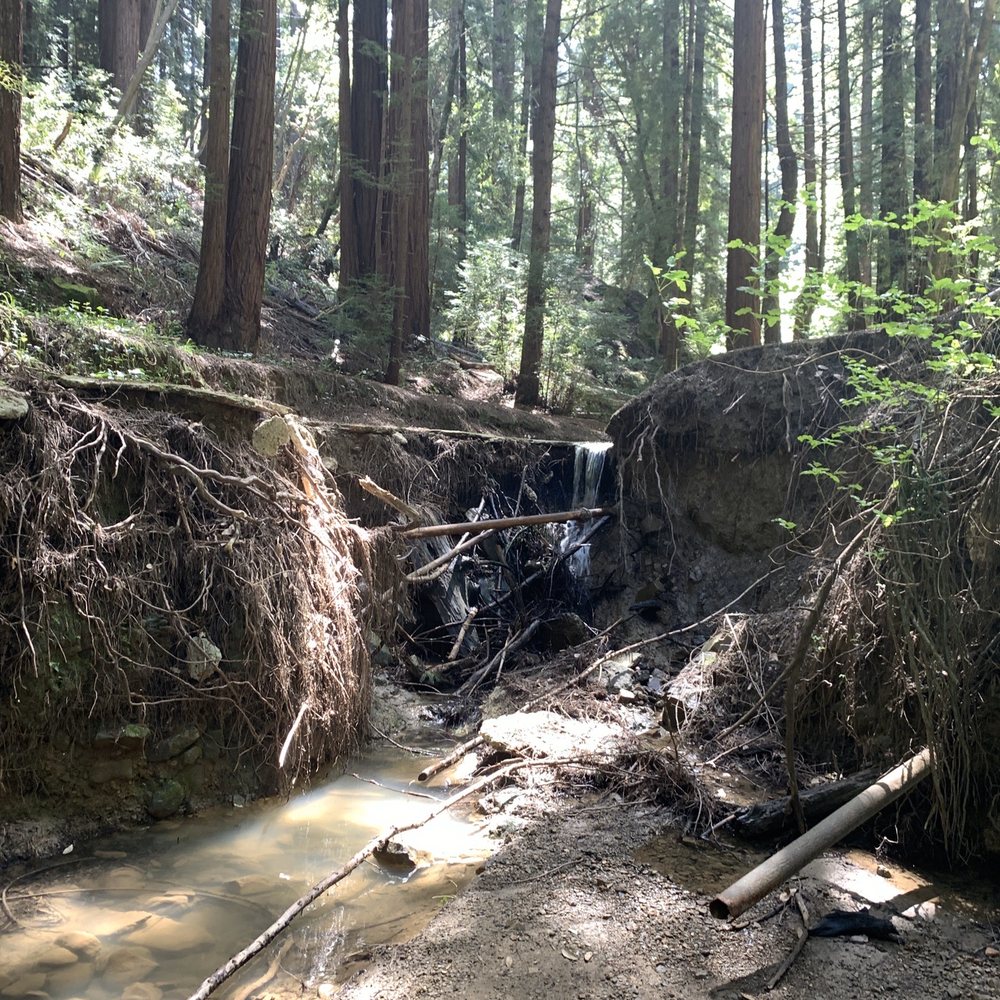 Thornewood Preserve - musdy creek? - Parks Near Me - Woodside, California Thornewood Preserve - musdy creek? - Parks Near Me - Woodside, California
