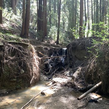 Thornewood Preserve - musdy creek? - Parks Near Me - Woodside, California Thornewood Preserve - musdy creek? - Parks Near Me - Woodside, California