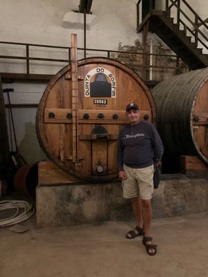 Quinta do Bomfim by null