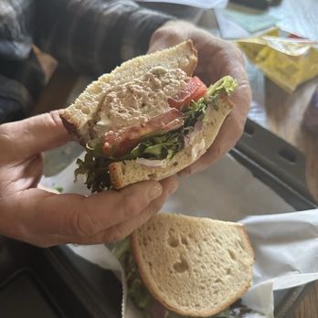 The Rustic Bluebird - Tuna sandwich - American Near Me - Almont, Michigan