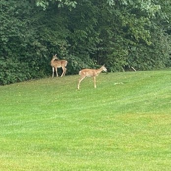 Greencastle Golf Club - Golf Lessons Near Me - Greencastle, Pennsylvania