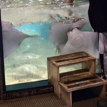 Maritime Aquarium - Look at those smiles! - Aquariums Near Me - Norwalk, Connecticut Maritime Aquarium - Look at those smiles! - Aquariums Near Me - Norwalk, Connecticut