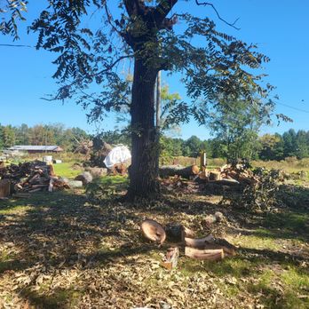 Robbie and Bobbys Tree Services - Tree Services Near Me