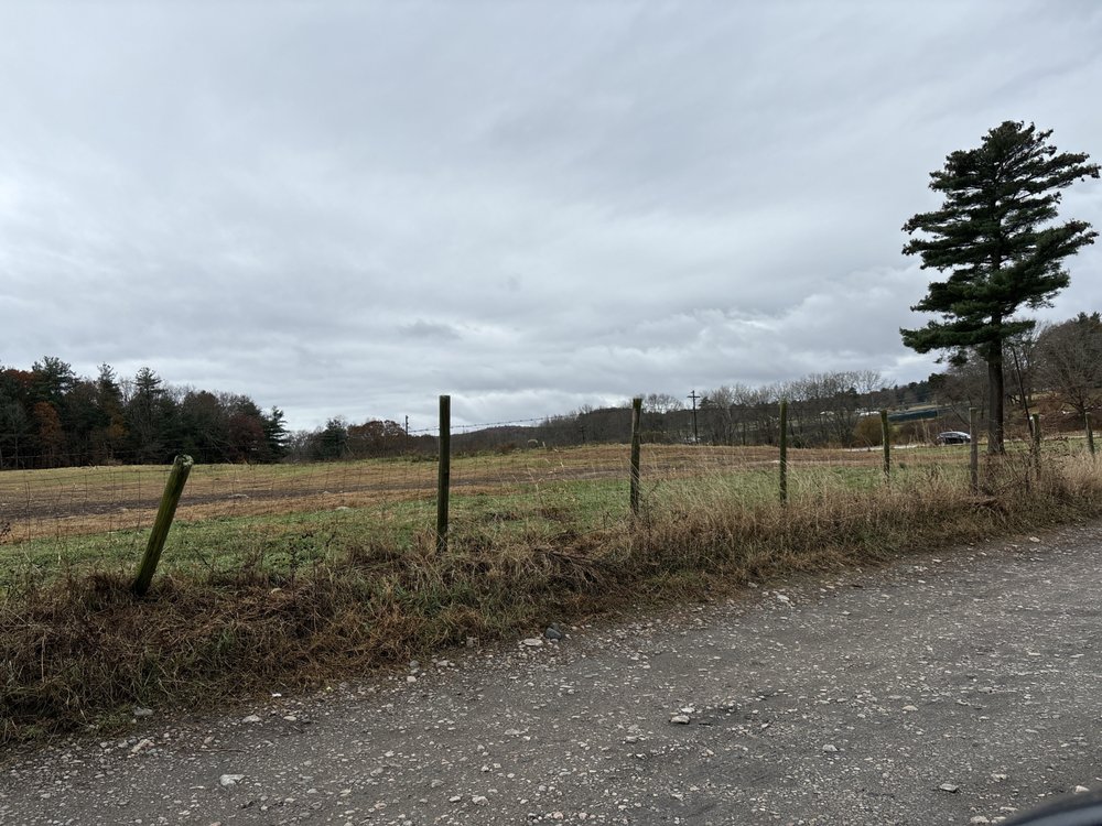 WRENTHAM DOG PARK Updated October 2024 22 Photos & 29 Reviews