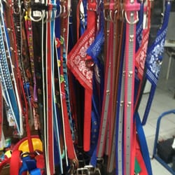 Tienda de Mascotas - Hospital Veterinario